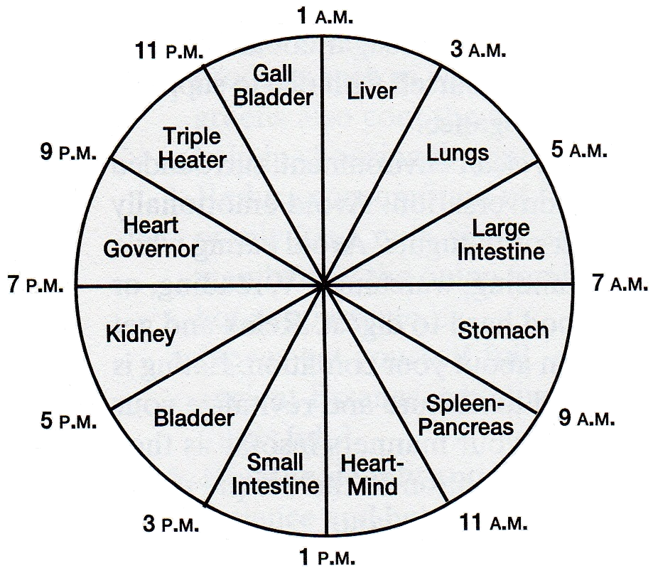 Tcm Organ Clock Chart