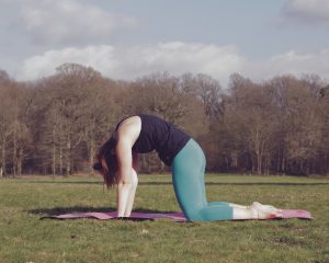 Cowpose - yoga position